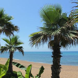 Ionion Beach Apartment Hotel & Spa